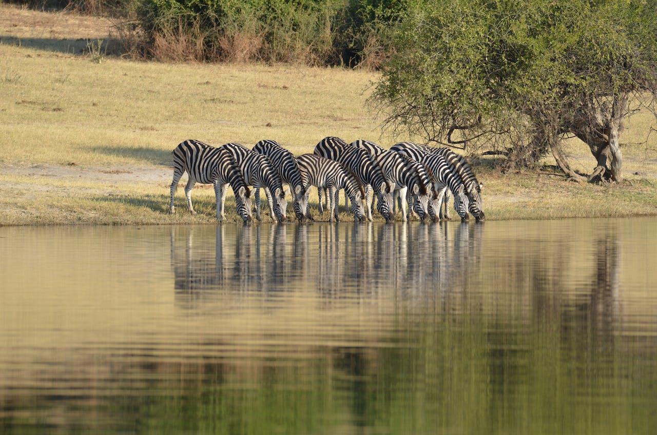 Top 10 countries to visit in Africa.